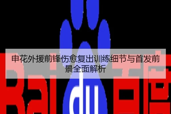申花外援前锋伤愈复出训练细节与首发前景全面解析